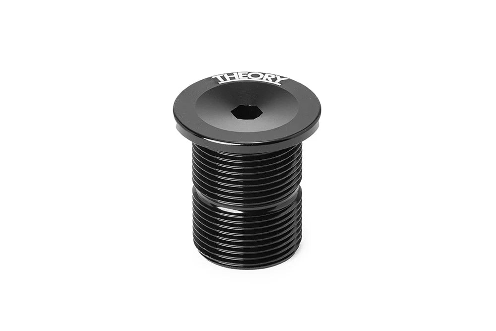 THEORY FORK TOP CAP BOLT