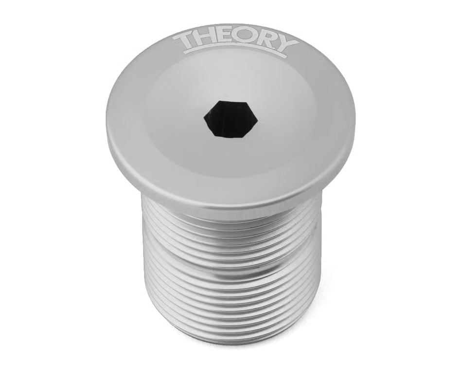 Theory Fork Top Cap Bolt (Silver) (24 x 1.5mm)
