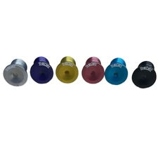 THEORY FORK TOP CAP BOLT