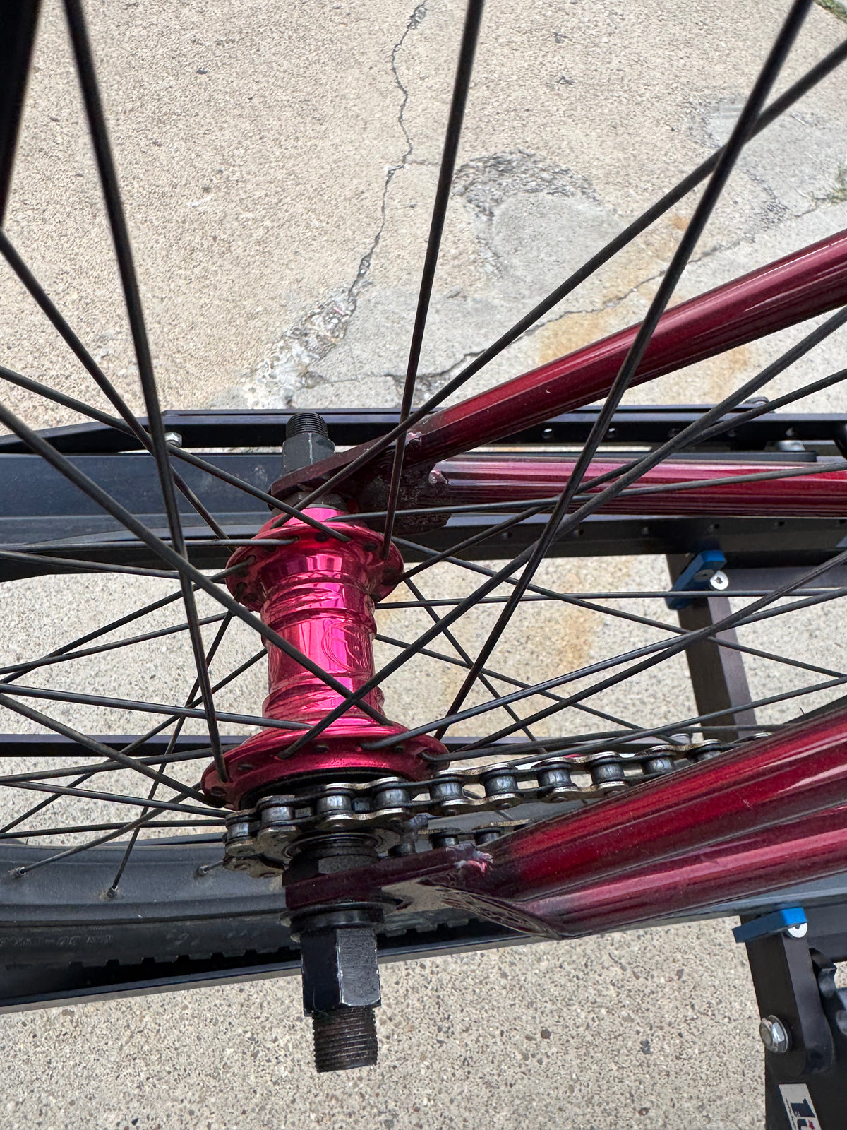 Trans red S&M ATF 24-inch BMX bike frame with a bright pink Profile mini hub and black spokes.