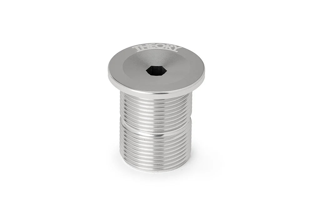 THEORY FORK TOP CAP BOLT