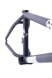 BIGGIE FRAME / JAUME SINTES / HAMMERTONE
21”TT